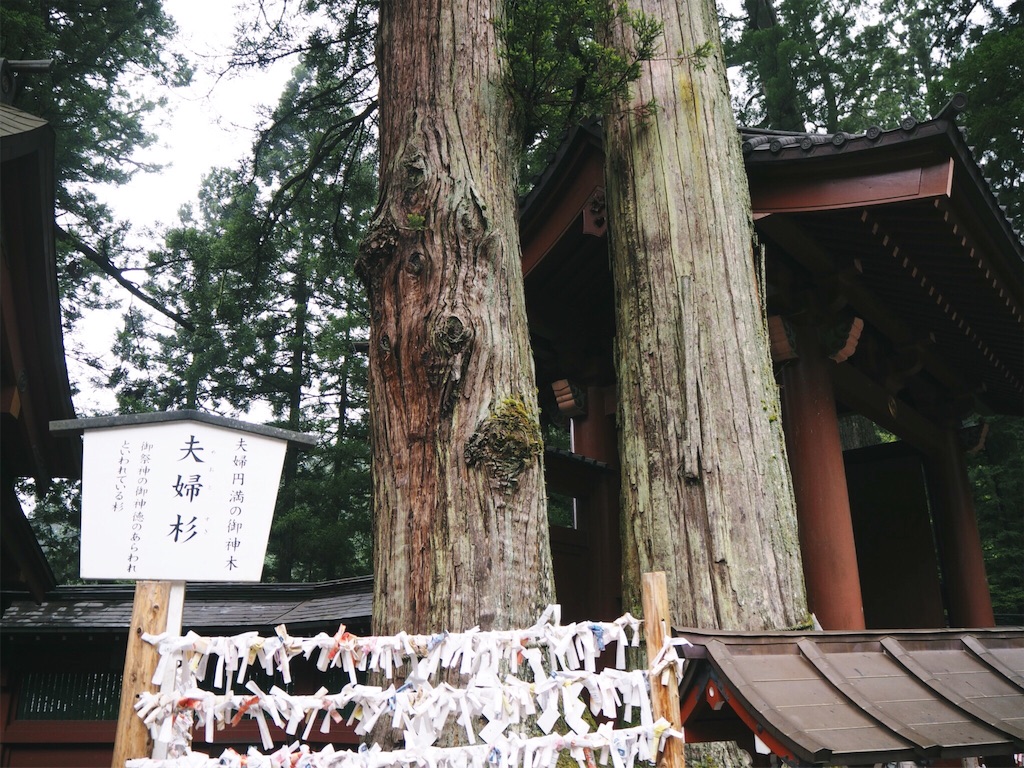f:id:rie141:20160723181206j:image f:id:rie141:20160723181206j:image