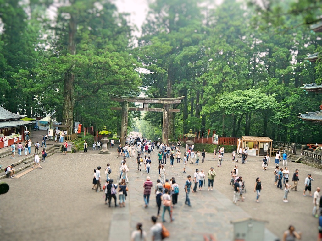 f:id:rie141:20160723185536j:image f:id:rie141:20160723185536j:image