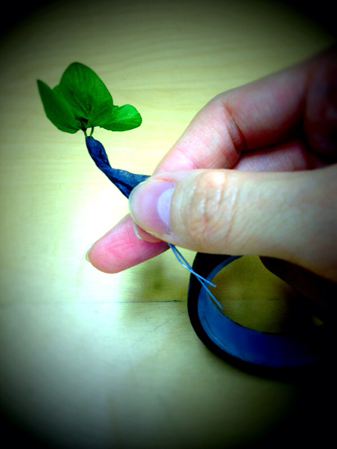 f:id:rie_re:20130420112830j:plain f:id:rie_re:20130420112830j:plain