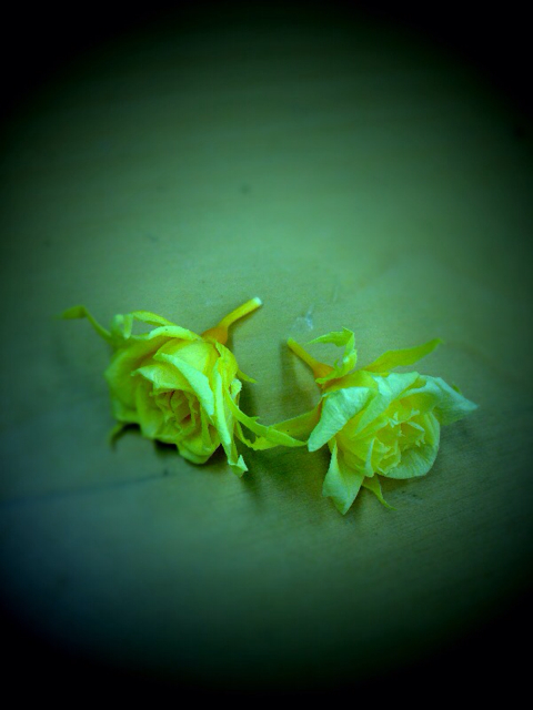 f:id:rie_re:20130420113229j:plain f:id:rie_re:20130420113229j:plain