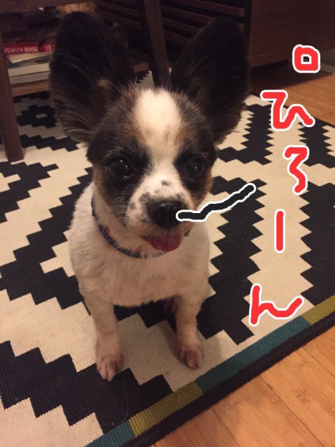 f:id:riezo128:20150607021601j:image f:id:riezo128:20150607021601j:image