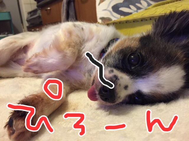 f:id:riezo128:20150608034038j:image f:id:riezo128:20150608034038j:image