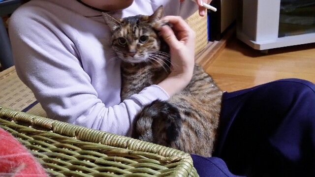 f:id:rikimarutti:20151112182727j:image f:id:rikimarutti:20151112182727j:image