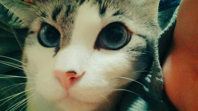 f:id:rikimarutti:20160119184147j:image f:id:rikimarutti:20160119184147j:image