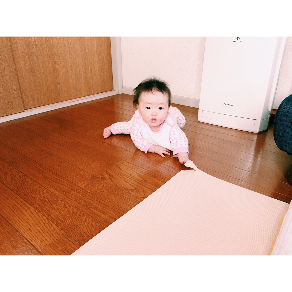 f:id:rikomama622:20160211010051p:image f:id:rikomama622:20160211010051p:image