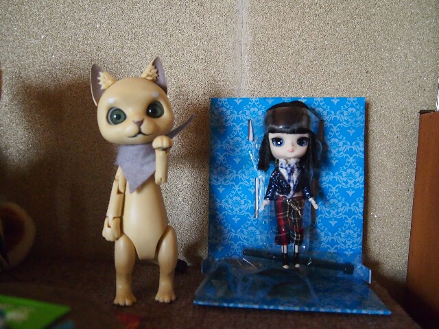 f:id:rikuomofu2:20160303085445j:image f:id:rikuomofu2:20160303085445j:image