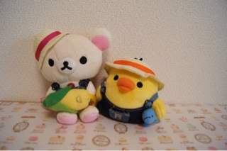 f:id:rilakkuma-tori:20140909032437j:plain f:id:rilakkuma-tori:20140909032437j:plain