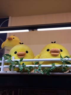 f:id:rilakkuma-tori:20141030090824j:plain f:id:rilakkuma-tori:20141030090824j:plain