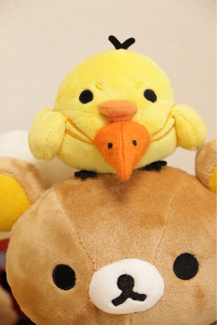 f:id:rilakkuma-tori:20150115003009j:plain f:id:rilakkuma-tori:20150115003009j:plain
