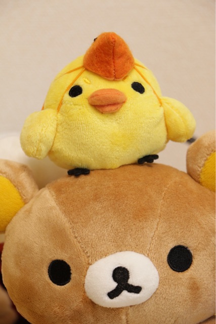 f:id:rilakkuma-tori:20150115003113j:plain f:id:rilakkuma-tori:20150115003113j:plain
