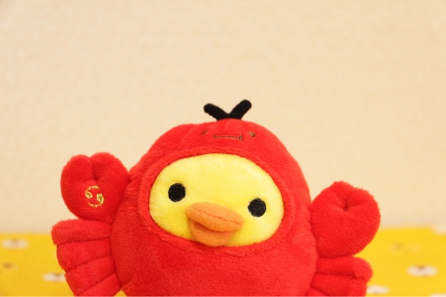 f:id:rilakkuma-tori:20150121215106j:plain f:id:rilakkuma-tori:20150121215106j:plain