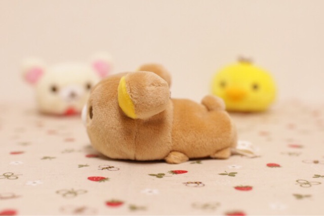 f:id:rilakkuma-tori:20150316095211j:plain f:id:rilakkuma-tori:20150316095211j:plain