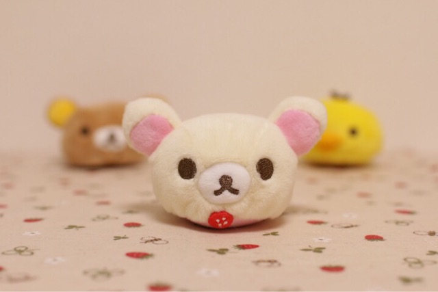 f:id:rilakkuma-tori:20150316095742j:plain f:id:rilakkuma-tori:20150316095742j:plain