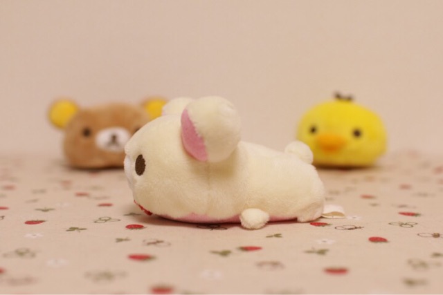 f:id:rilakkuma-tori:20150316095800j:plain f:id:rilakkuma-tori:20150316095800j:plain