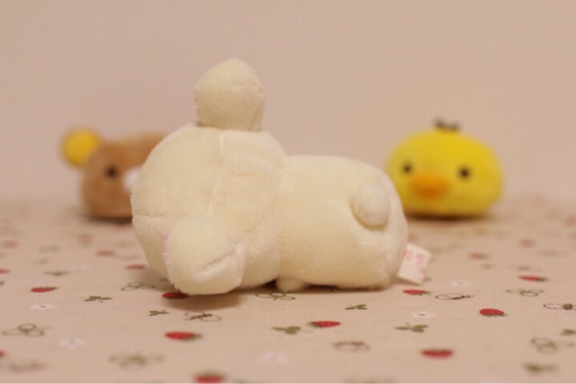 f:id:rilakkuma-tori:20150316095819j:plain f:id:rilakkuma-tori:20150316095819j:plain