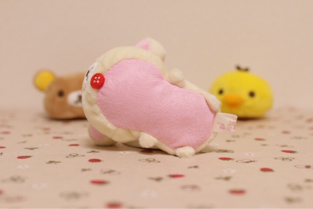 f:id:rilakkuma-tori:20150316095846j:plain f:id:rilakkuma-tori:20150316095846j:plain