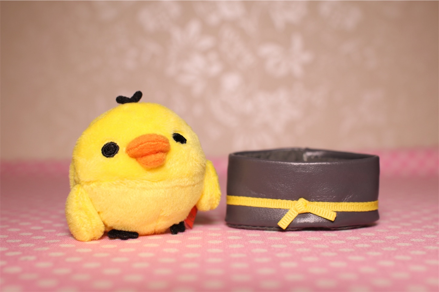 f:id:rilakkuma-tori:20151206232956j:image f:id:rilakkuma-tori:20151206232956j:image