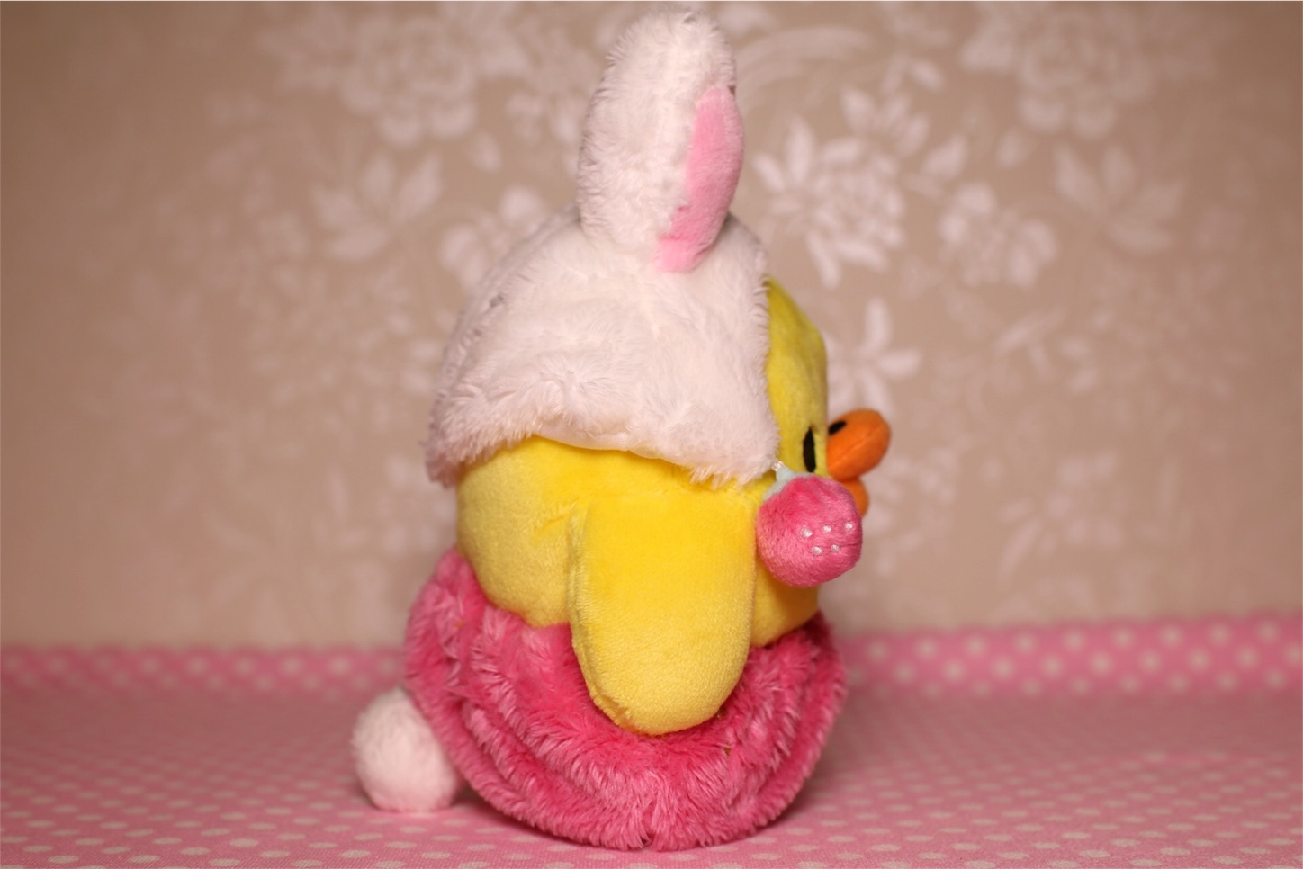 f:id:rilakkuma-tori:20151212220028j:image f:id:rilakkuma-tori:20151212220028j:image