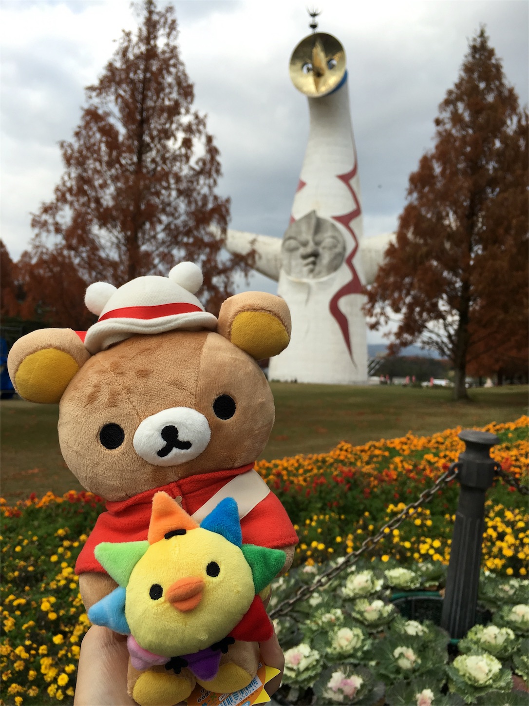 f:id:rilakkuma-tori:20151212225706j:image f:id:rilakkuma-tori:20151212225706j:image
