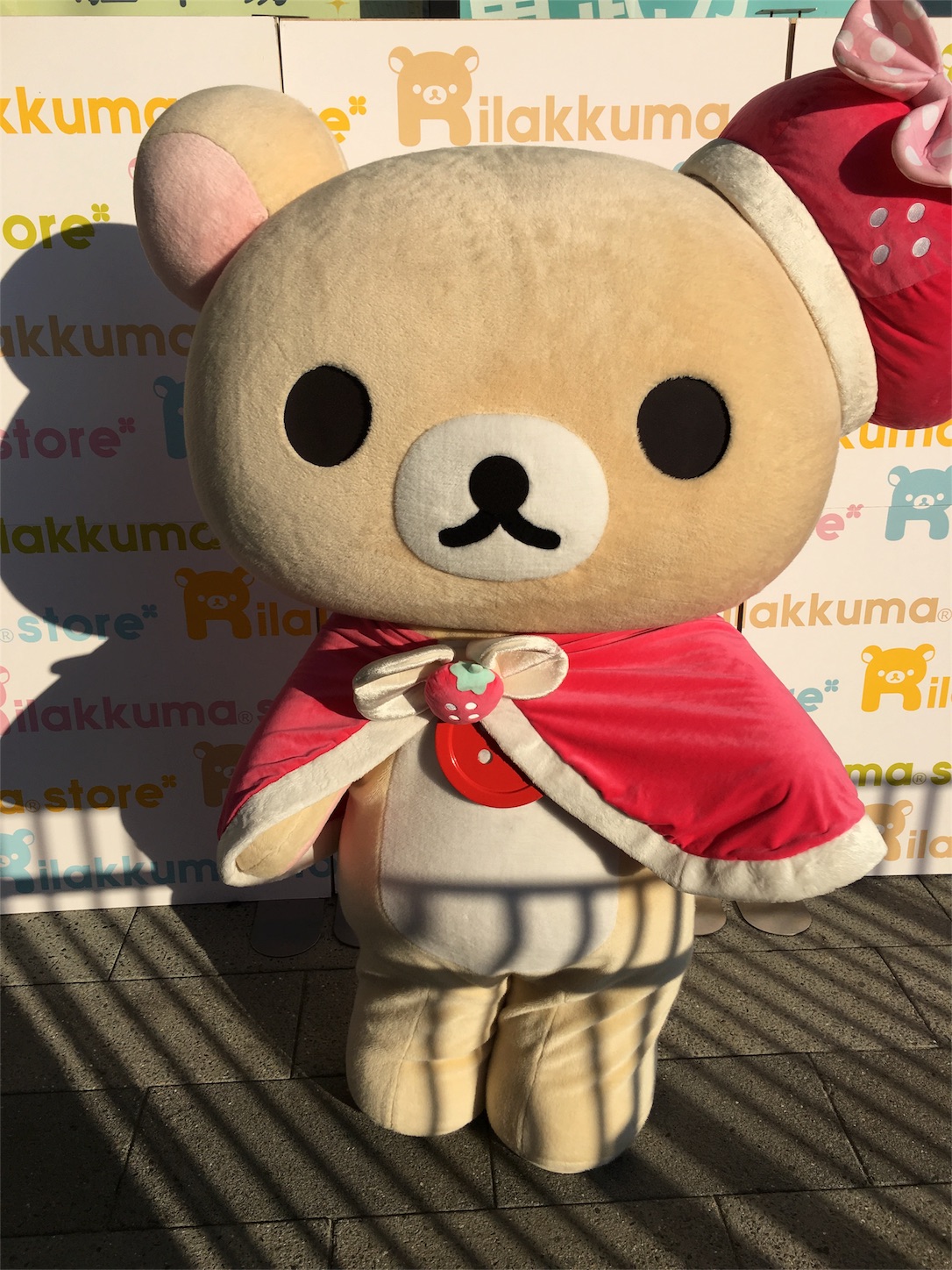 f:id:rilakkuma-tori:20160116155016j:image