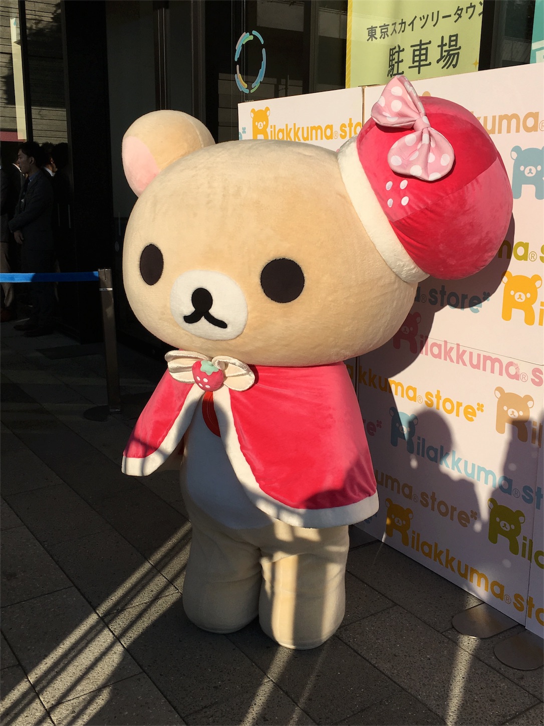 f:id:rilakkuma-tori:20160116155158j:image f:id:rilakkuma-tori:20160116155158j:image