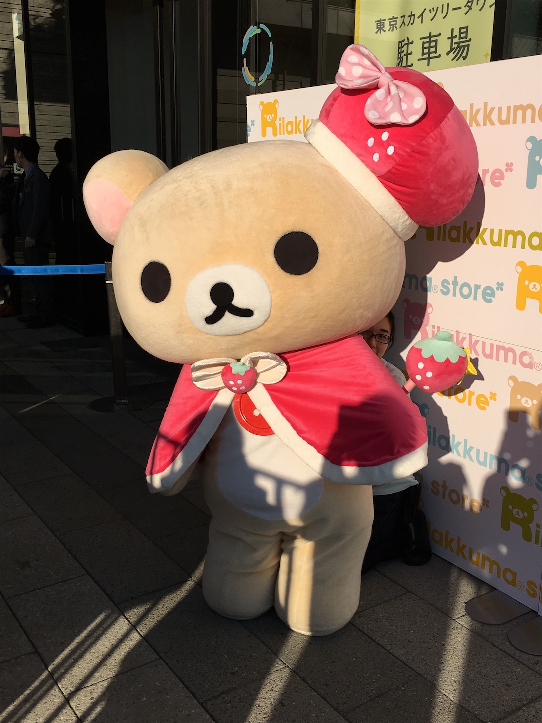 f:id:rilakkuma-tori:20160116155243j:image f:id:rilakkuma-tori:20160116155243j:image