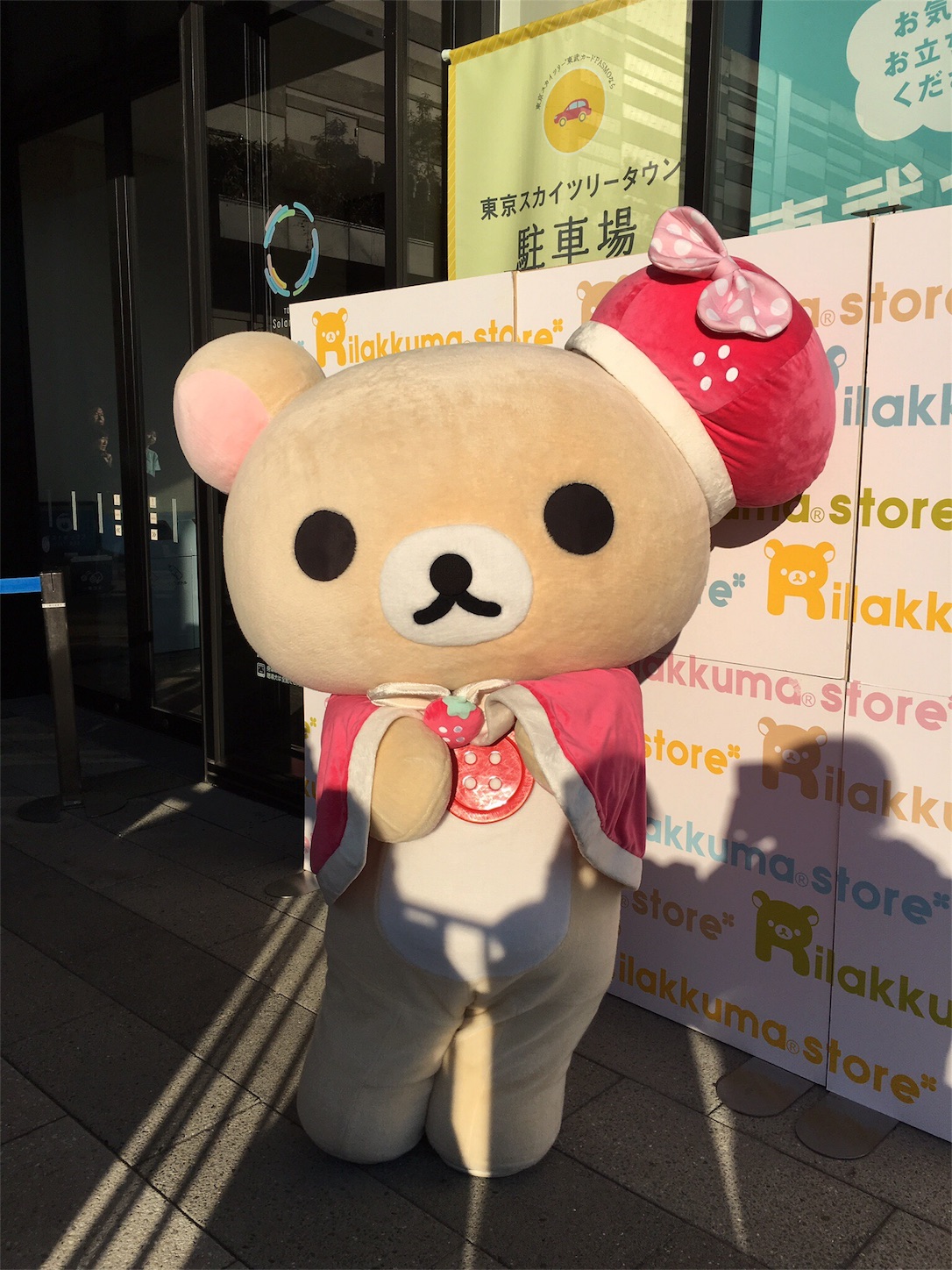 f:id:rilakkuma-tori:20160116155328j:image f:id:rilakkuma-tori:20160116155328j:image