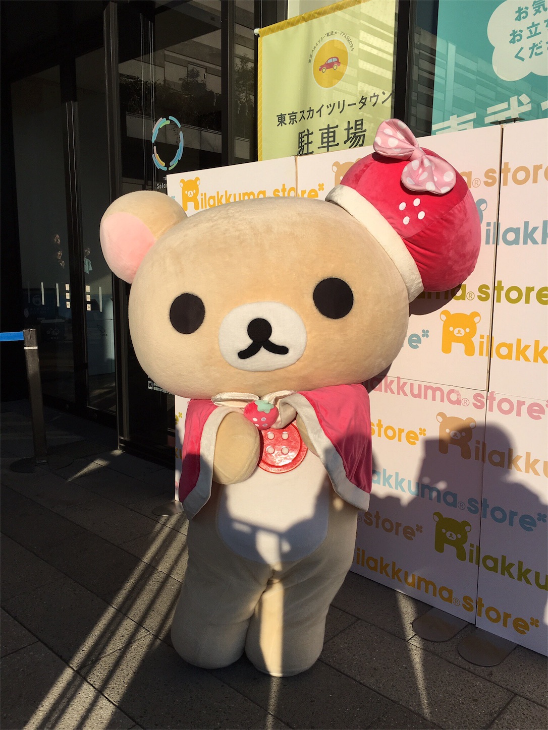 f:id:rilakkuma-tori:20160116155328j:image