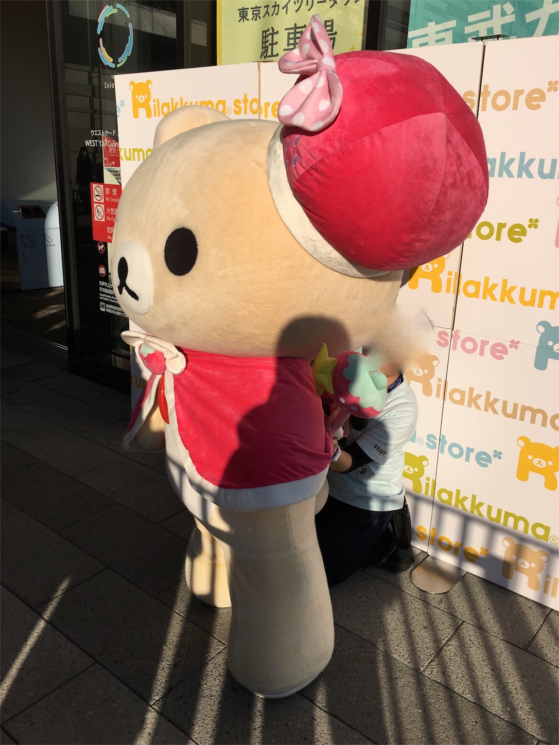 f:id:rilakkuma-tori:20160116162229j:image