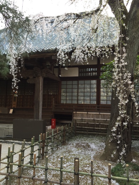 f:id:rimikito:20150330171938j:plain f:id:rimikito:20150330171938j:plain