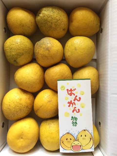 f:id:rimikito:20150628113127j:image f:id:rimikito:20150628113127j:image
