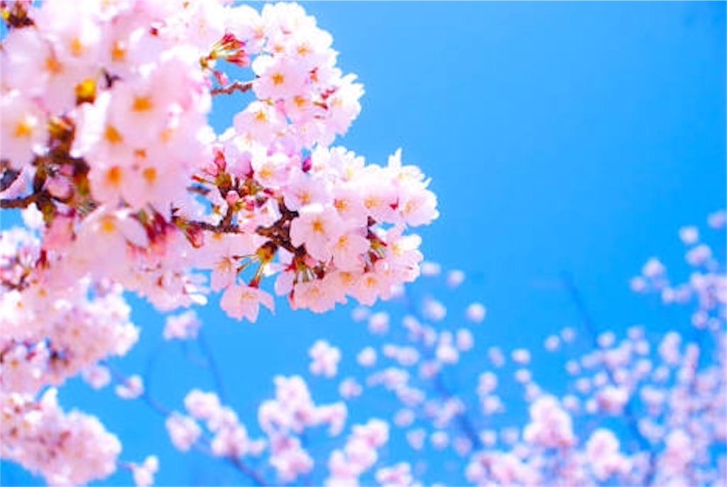 f:id:rin8841aaa:20160406150929j:image f:id:rin8841aaa:20160406150929j:image