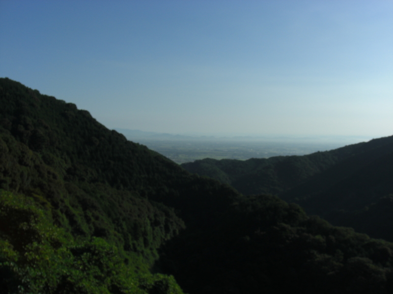 f:id:ringo526:20100918074209j:image f:id:ringo526:20100918074209j:image