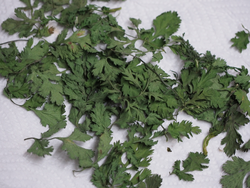 f:id:rinosayukaho:20160410161355j:plain