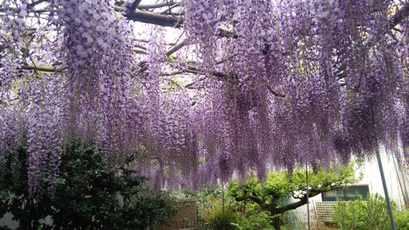 f:id:riotah:20140420090157j:plain f:id:riotah:20140420090157j:plain
