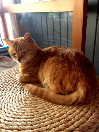 f:id:rioysd:20130429154409j:plain f:id:rioysd:20130429154409j:plain