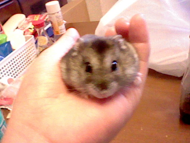 f:id:rippu:20120128102836j:image:w360 f:id:rippu:20120128102836j:image:w360