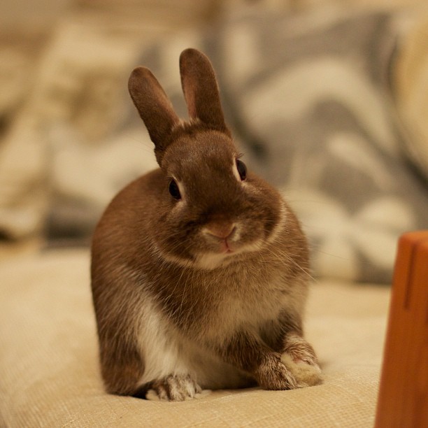 f:id:rissack:20120506093902j:image:w360 f:id:rissack:20120506093902j:image:w360