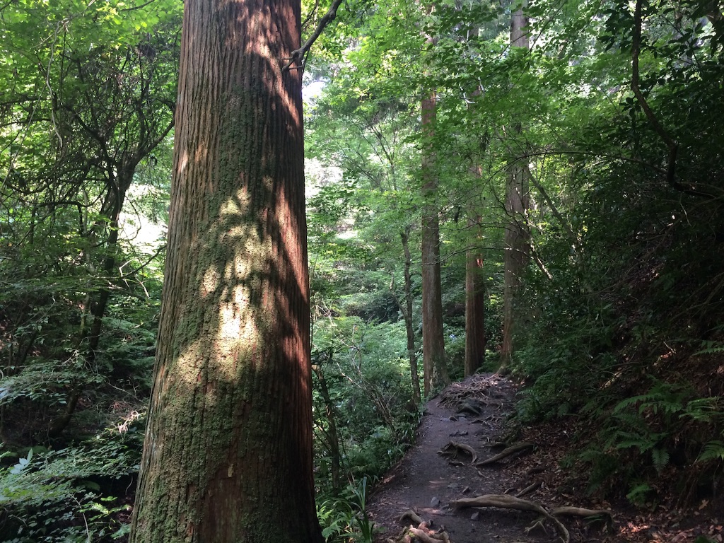 f:id:ritsco:20150801173200j:image f:id:ritsco:20150801173200j:image