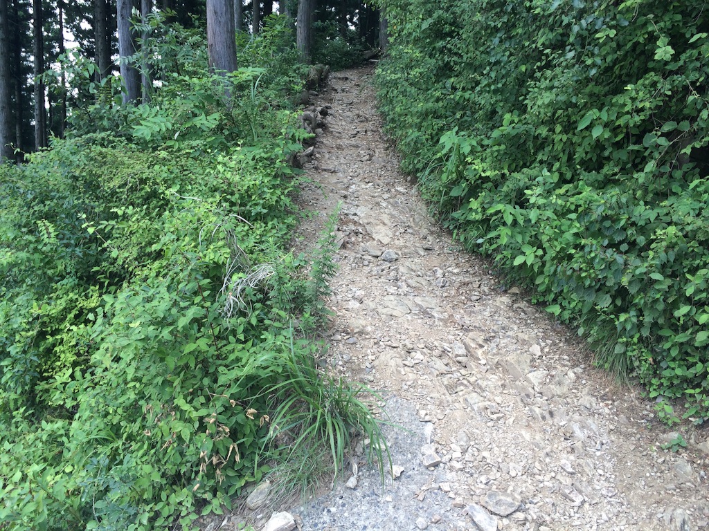 f:id:ritsco:20150801180333j:image f:id:ritsco:20150801180333j:image