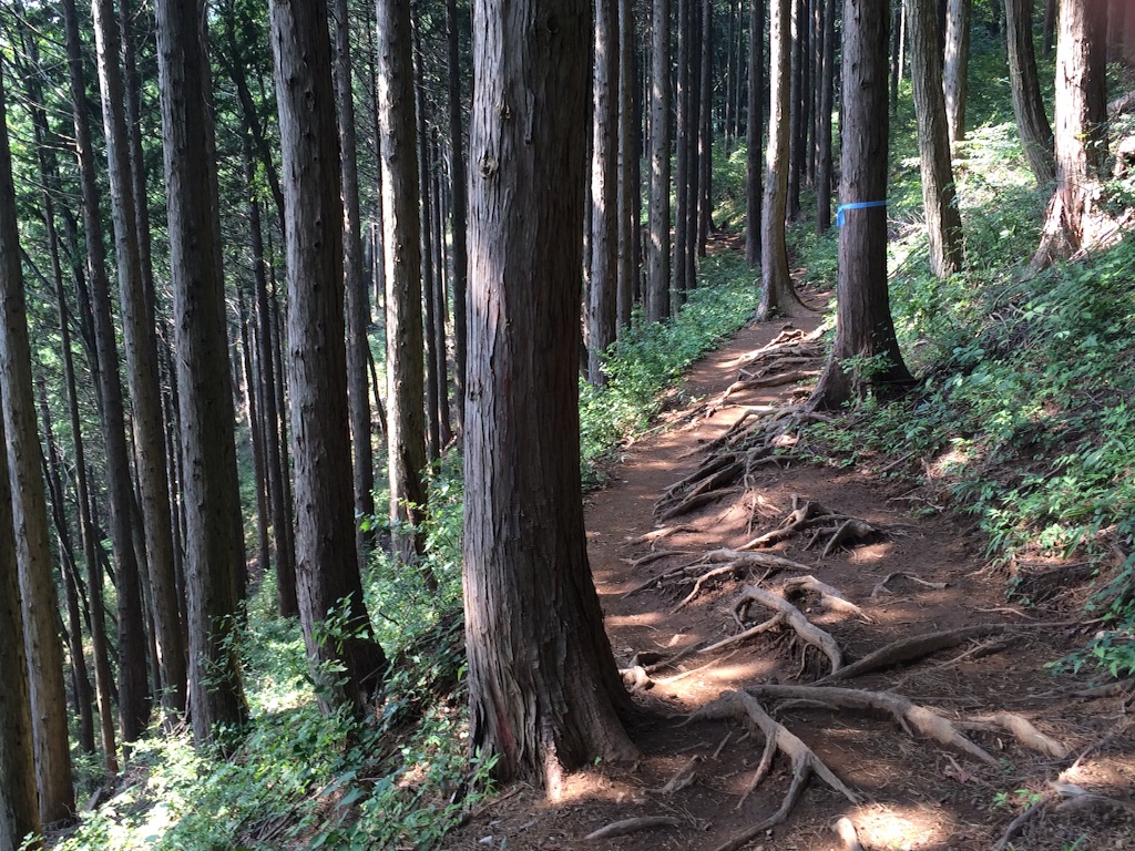f:id:ritsco:20150801214103j:image f:id:ritsco:20150801214103j:image