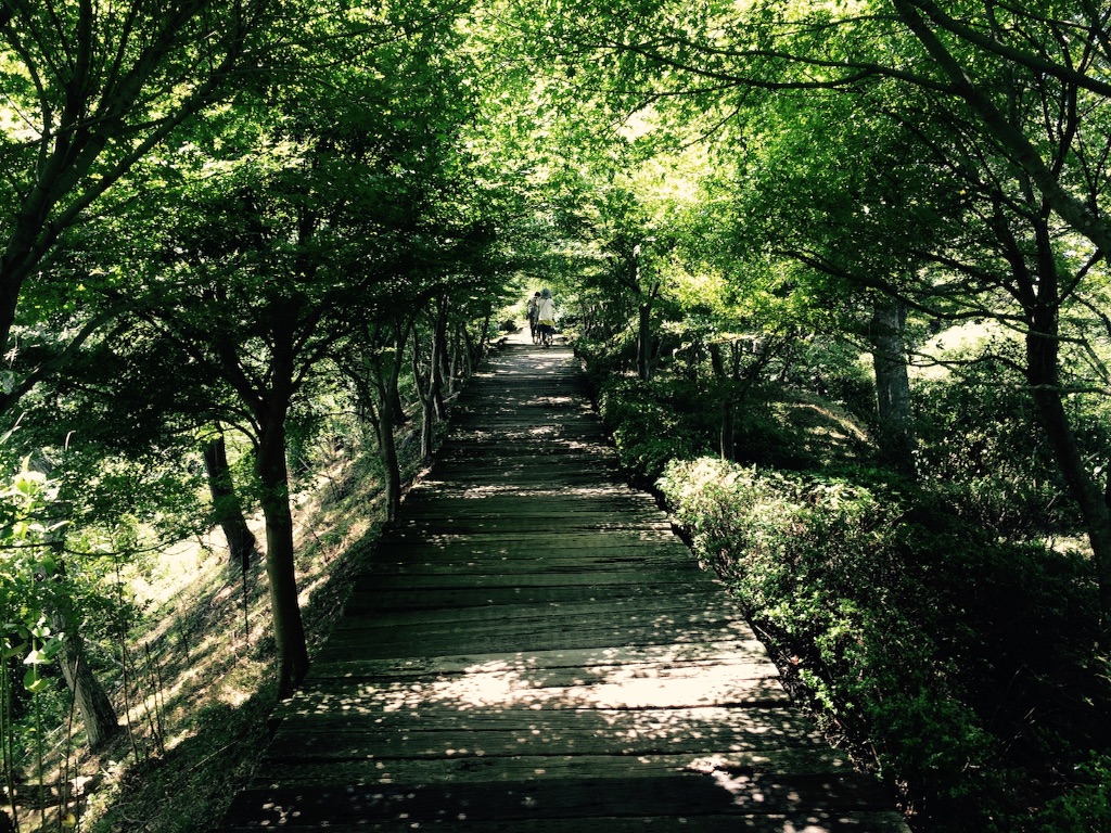f:id:ritsco:20150809230624j:image f:id:ritsco:20150809230624j:image