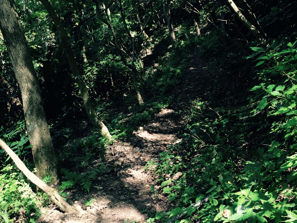 f:id:ritsco:20150809231027j:image f:id:ritsco:20150809231027j:image