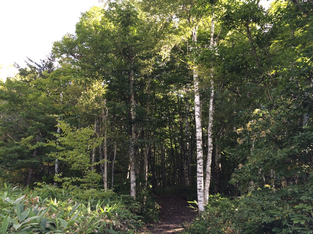 f:id:ritsco:20150913230307j:image f:id:ritsco:20150913230307j:image