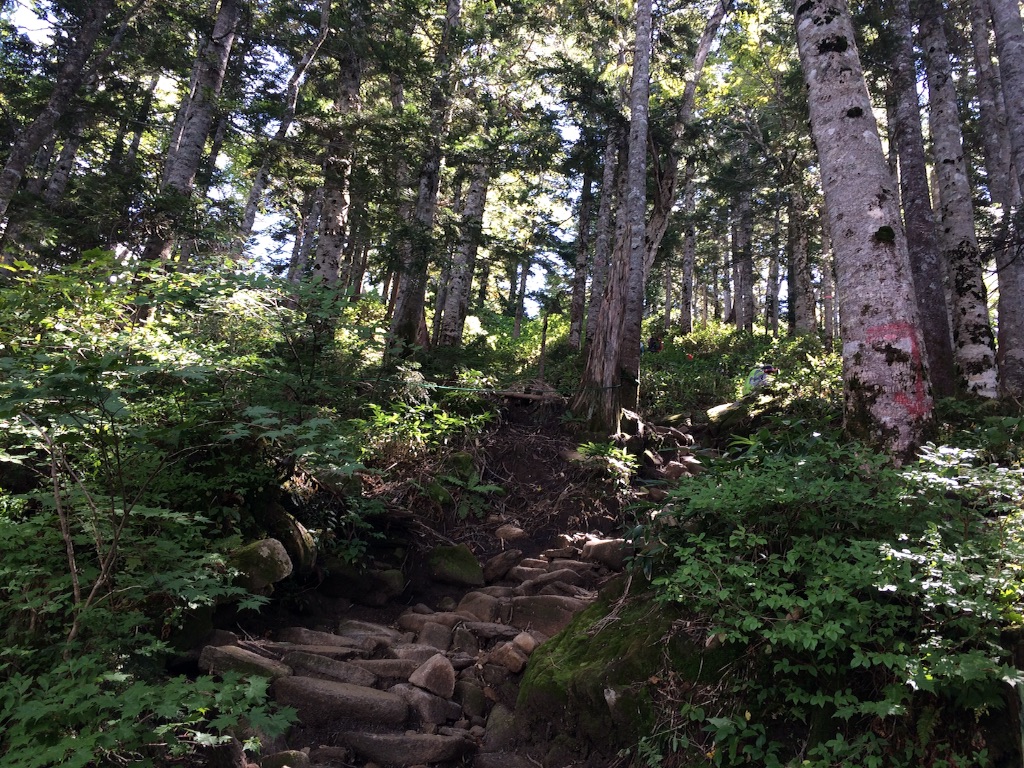 f:id:ritsco:20150913235002j:image f:id:ritsco:20150913235002j:image