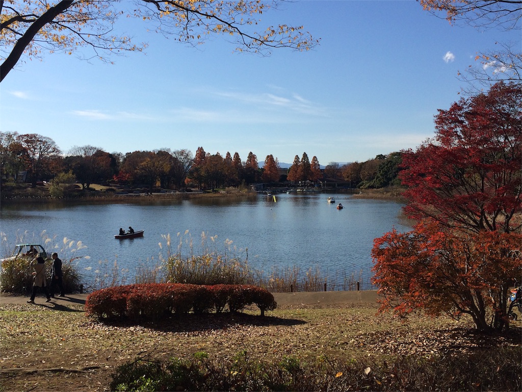 f:id:ritsco:20151206203007j:image f:id:ritsco:20151206203007j:image