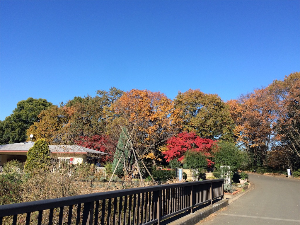 f:id:ritsco:20151206203106j:image f:id:ritsco:20151206203106j:image