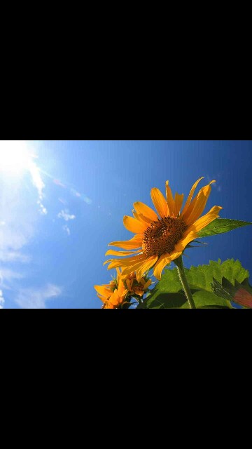 f:id:rittci:20150813201550j:image f:id:rittci:20150813201550j:image