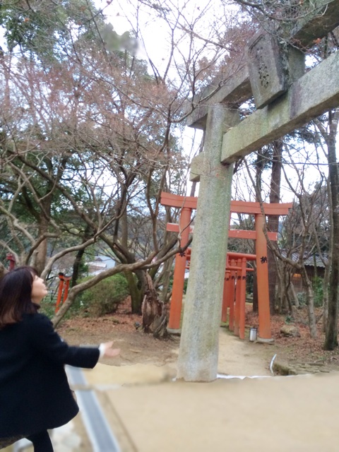 f:id:rmutsumi:20140109142748j:plain f:id:rmutsumi:20140109142748j:plain