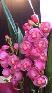 f:id:rmutsumi:20140125184755j:plain f:id:rmutsumi:20140125184755j:plain